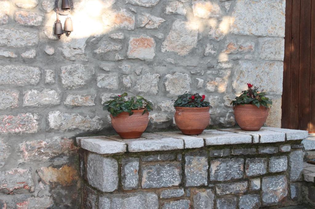 Guesthouse Karahalios Polydrossos Extérieur photo